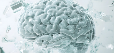 Captura de Tela 2025-11-06 às 10.16.11