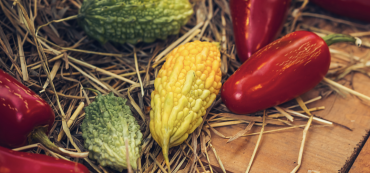 Captura de Tela 2026-01-29 às 12.30.51